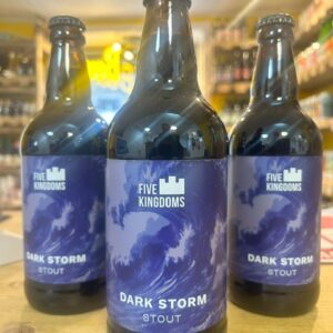 Five Kingdoms Dark Storm