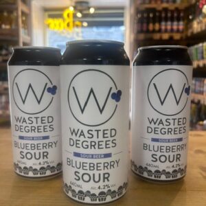 Wasted Degrees Blueberry Sour